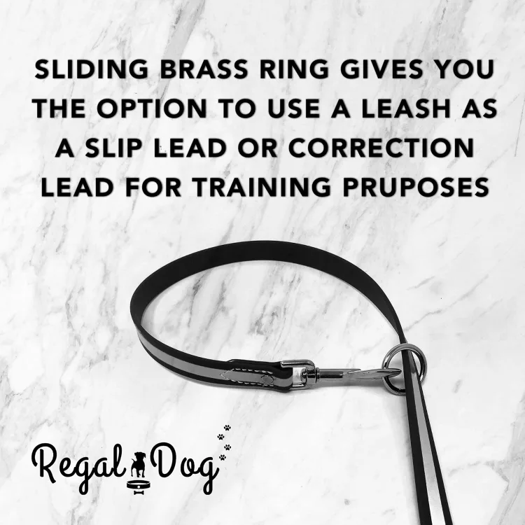 Reflective Collar and Leash Set - Size S image indicator(7)