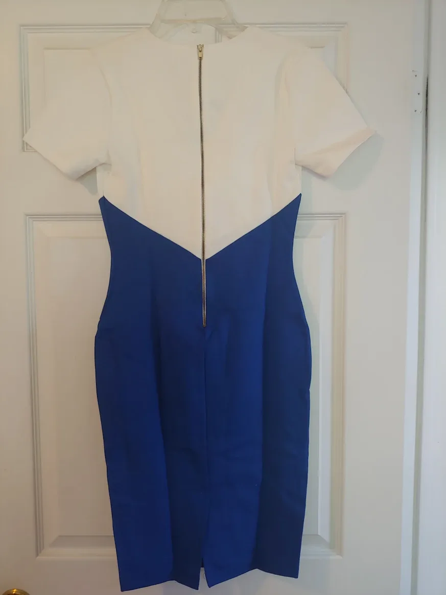 New Vijo Couture Blue & White Dress image indicator(3)