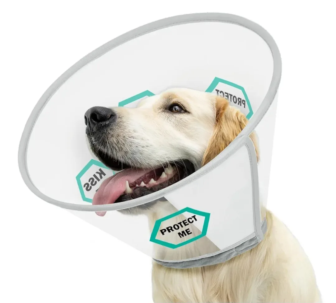 Supet Dog Cone Collar - Size L thumbnail