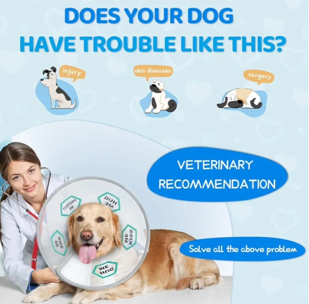 Supet Dog Cone Collar - Size L image indicator(6)