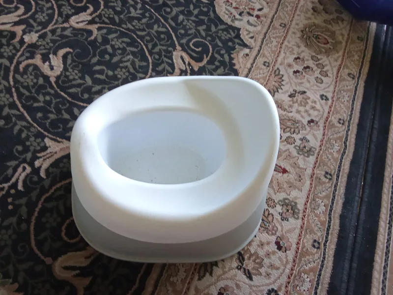 potty training for toddlers image indicator(3)