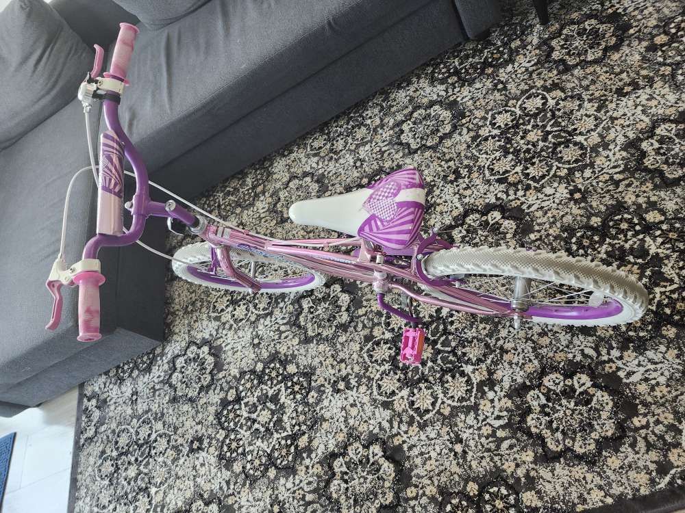 Girls' Heartbeat Bike - Pink & Purple