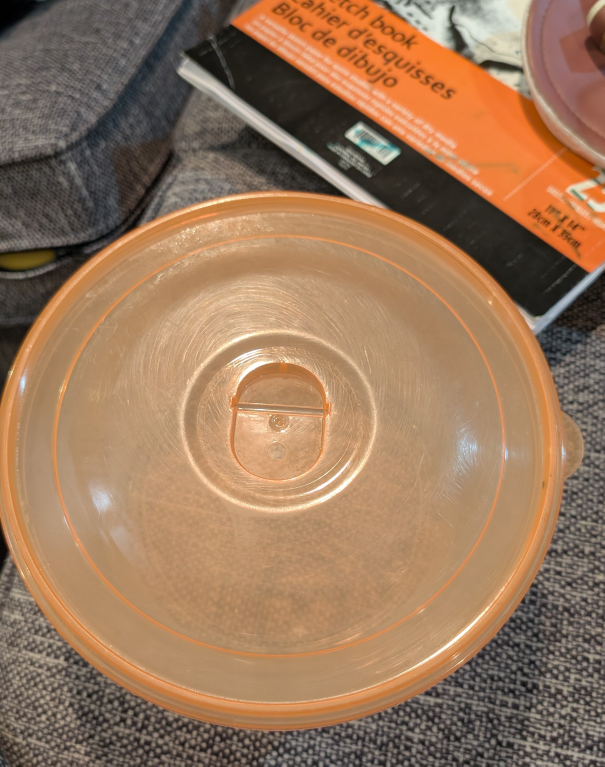 Orange Plastic Container Lid#freecycle