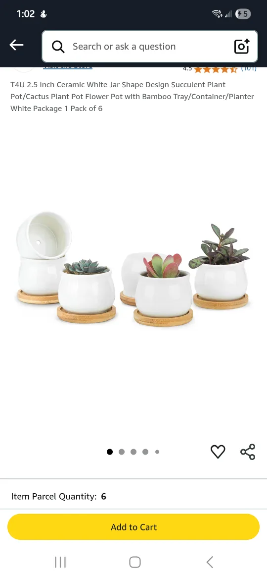 Set of White Ceramic Planters with Wooden Coasters thumbnail