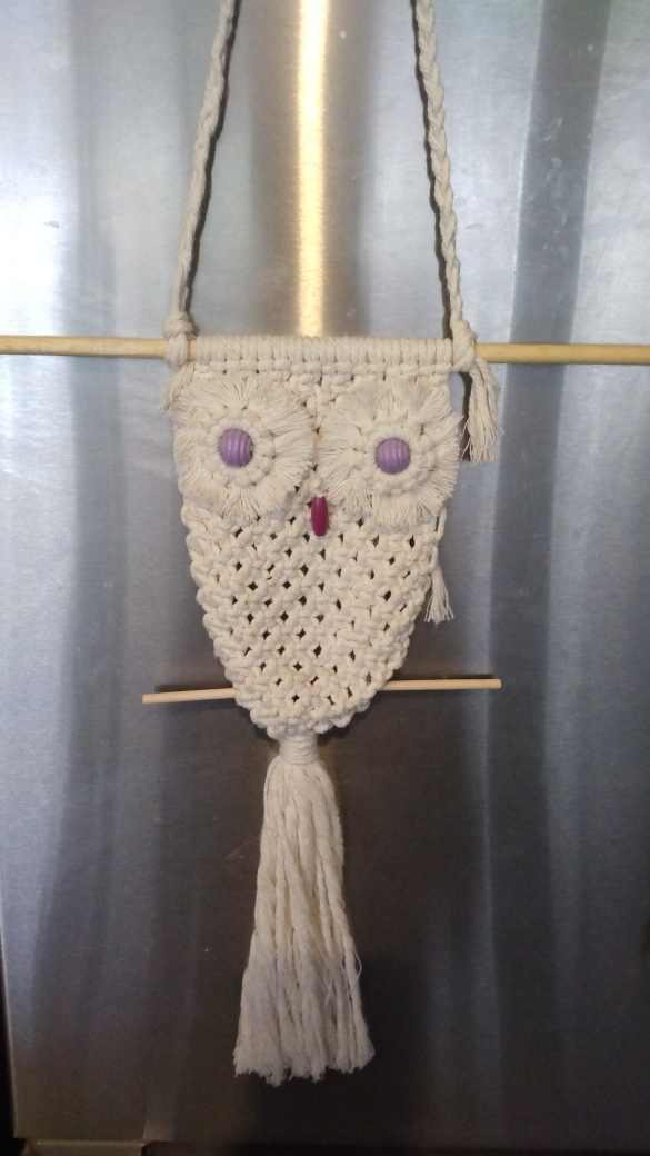 Handmade Macrame Owl Wall Hanging