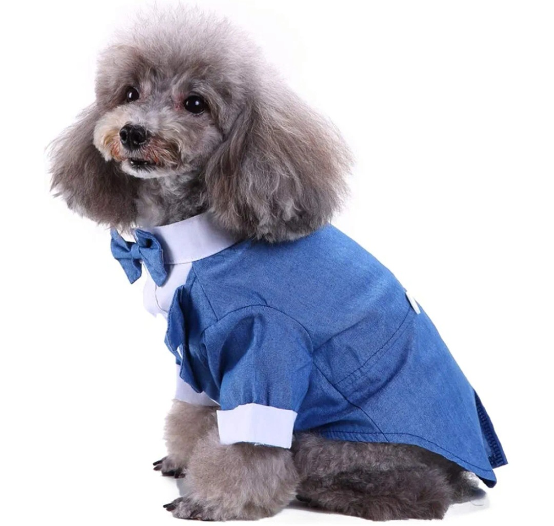 Cute denim dog tuxedo - Size XS - photo 2