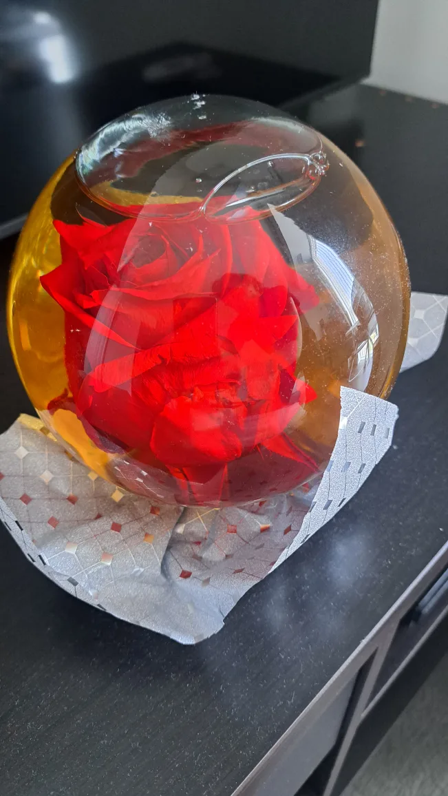 Rose in Globe image indicator(2)