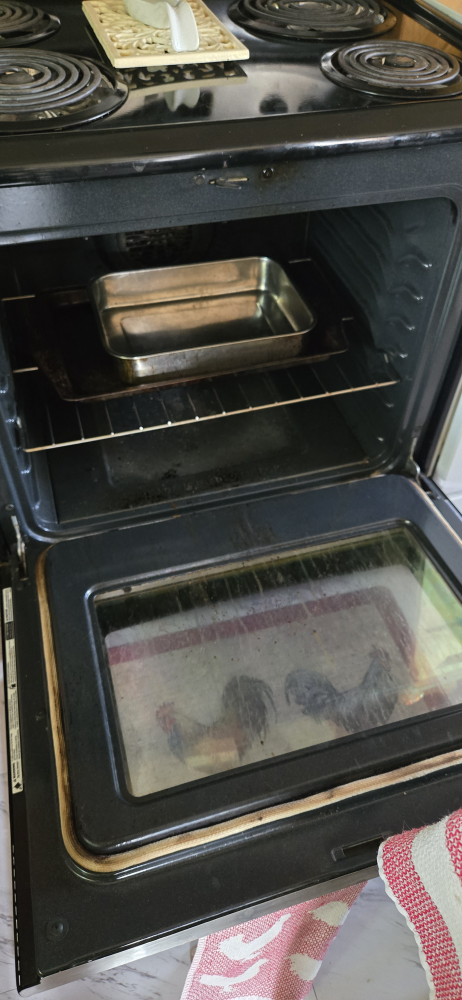 Stainless Steel Electric Range