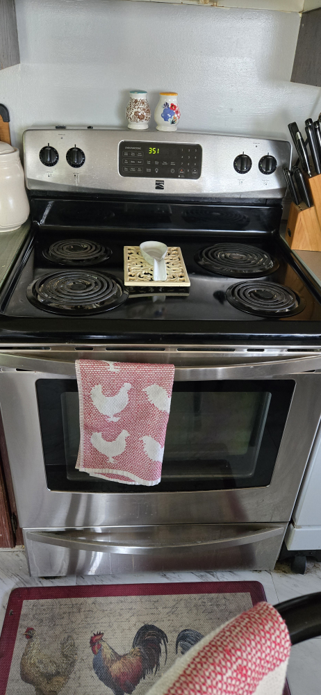 Stainless Steel Electric Range - photo 2