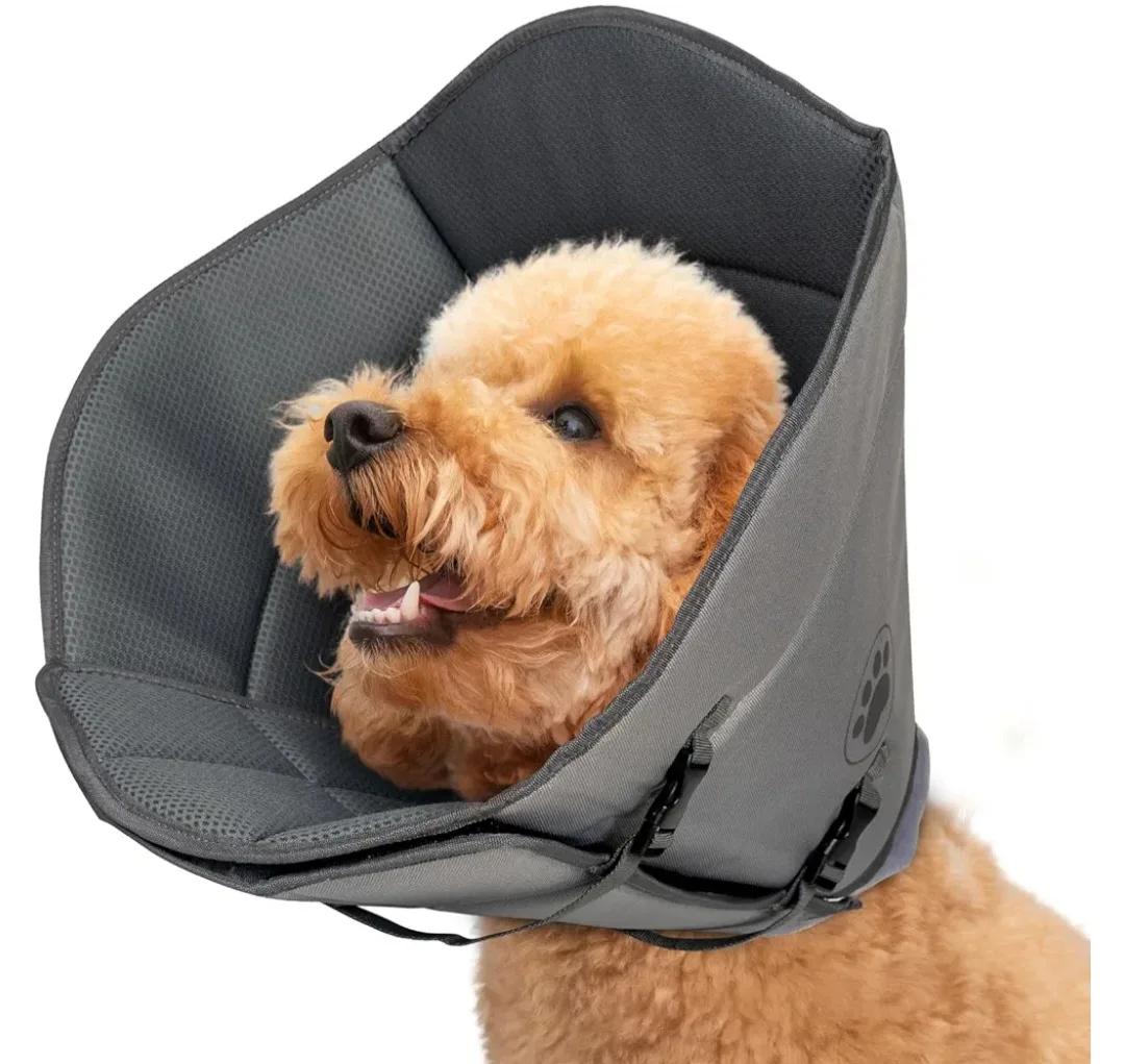 Dog Cone Collar - Size M thumbnail