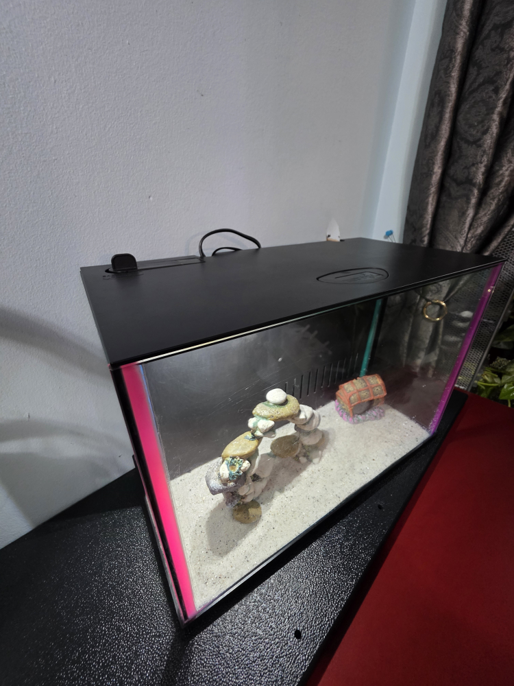 Fish Tank with Decorations