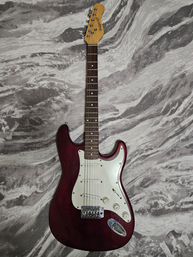 Electric Guitar