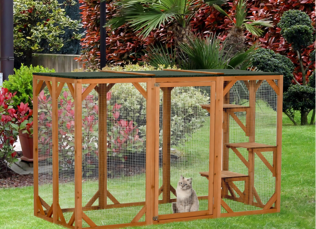 Catio - never out of box