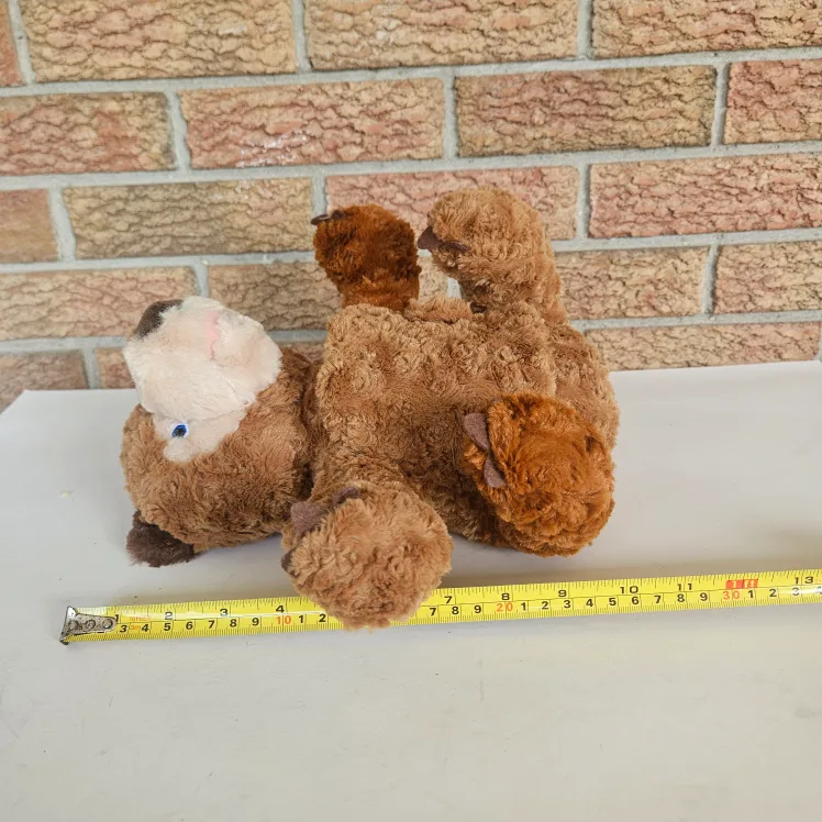 Zoobies Eric Carle Brown Bear Plush Storybook 11" image indicator(9)