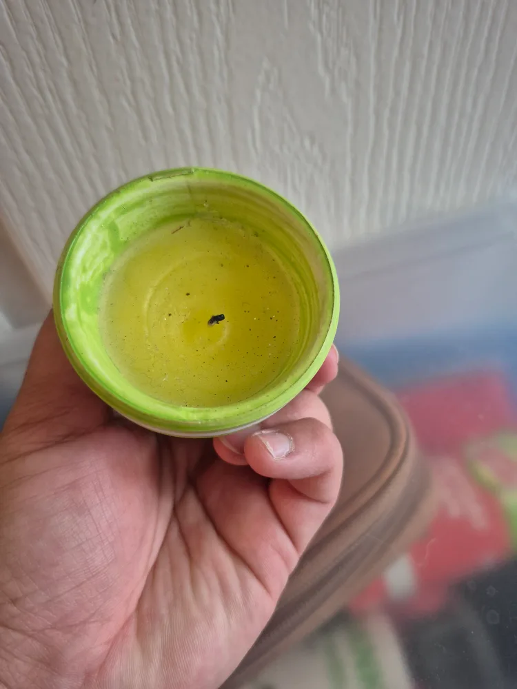 citronella  candle with Flower Pot design outdoor image indicator(4)