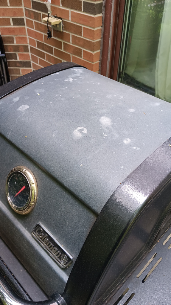 Coleman Outdoor Propane Grill - photo 3