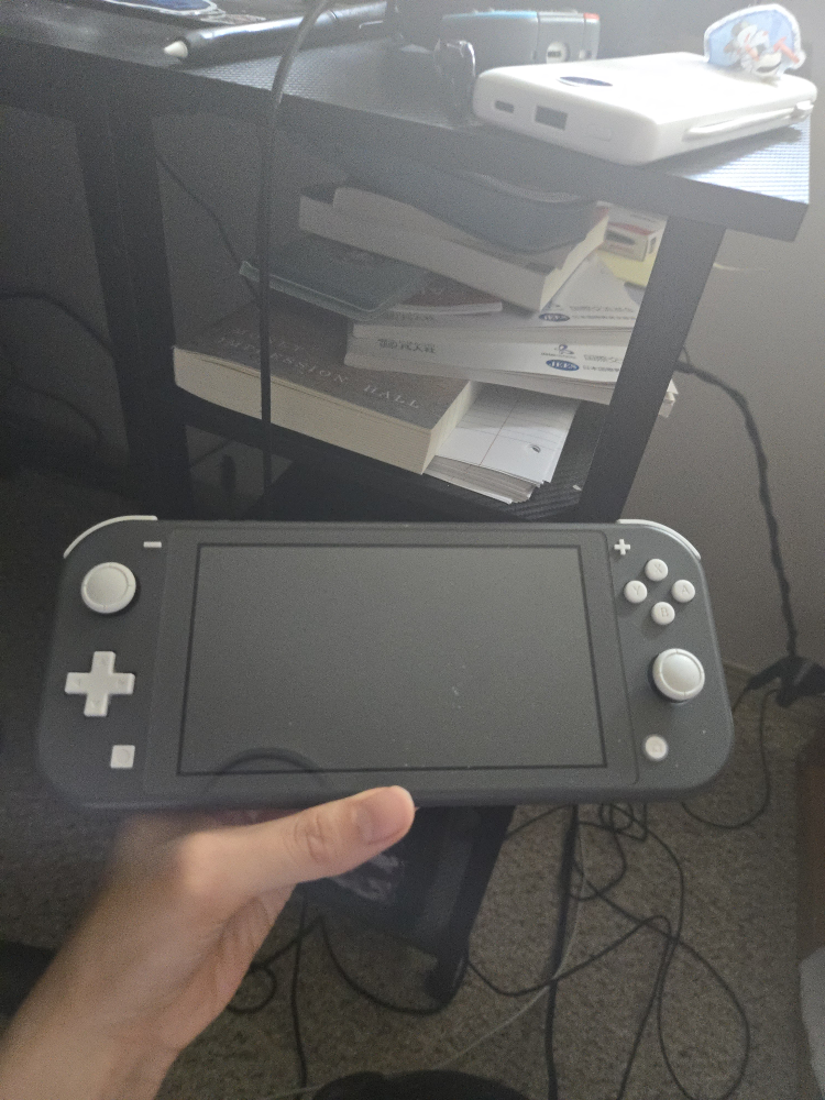 Nintendo Switch Lite Console