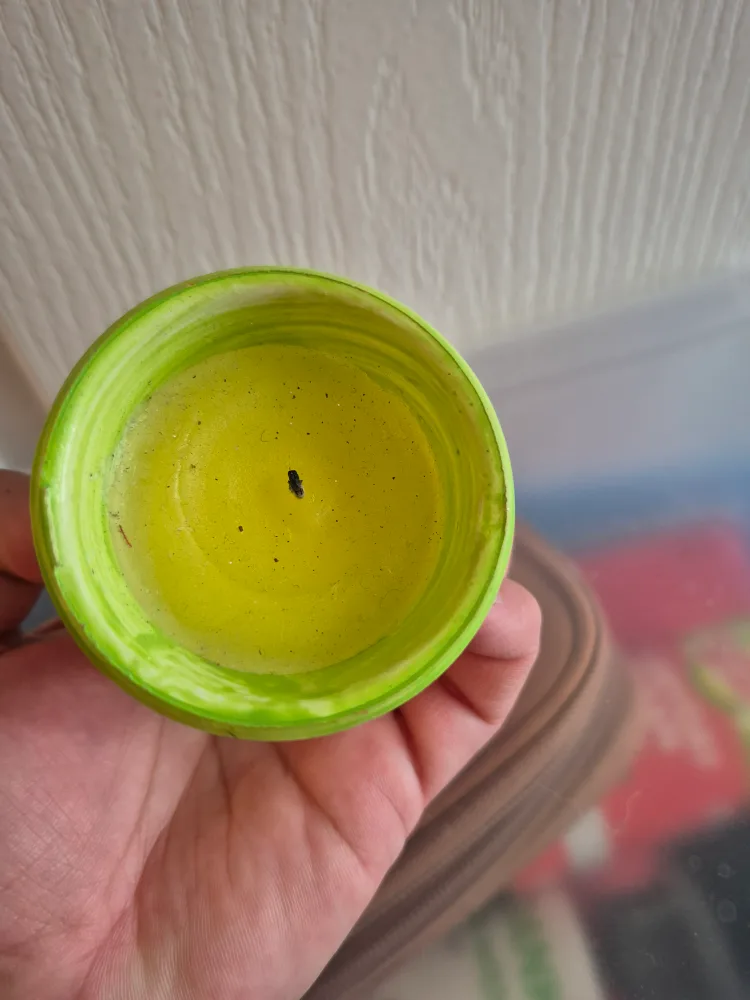 citronella  candle with Flower Pot design outdoor image indicator(2)