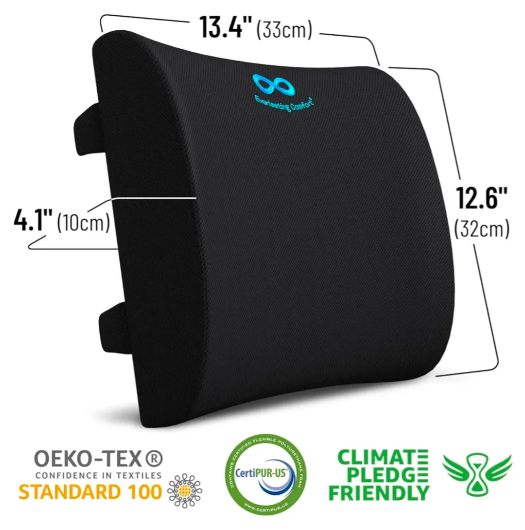 Everlasting Lumbar Support Back Cushion - Great Condition! image indicator(2)