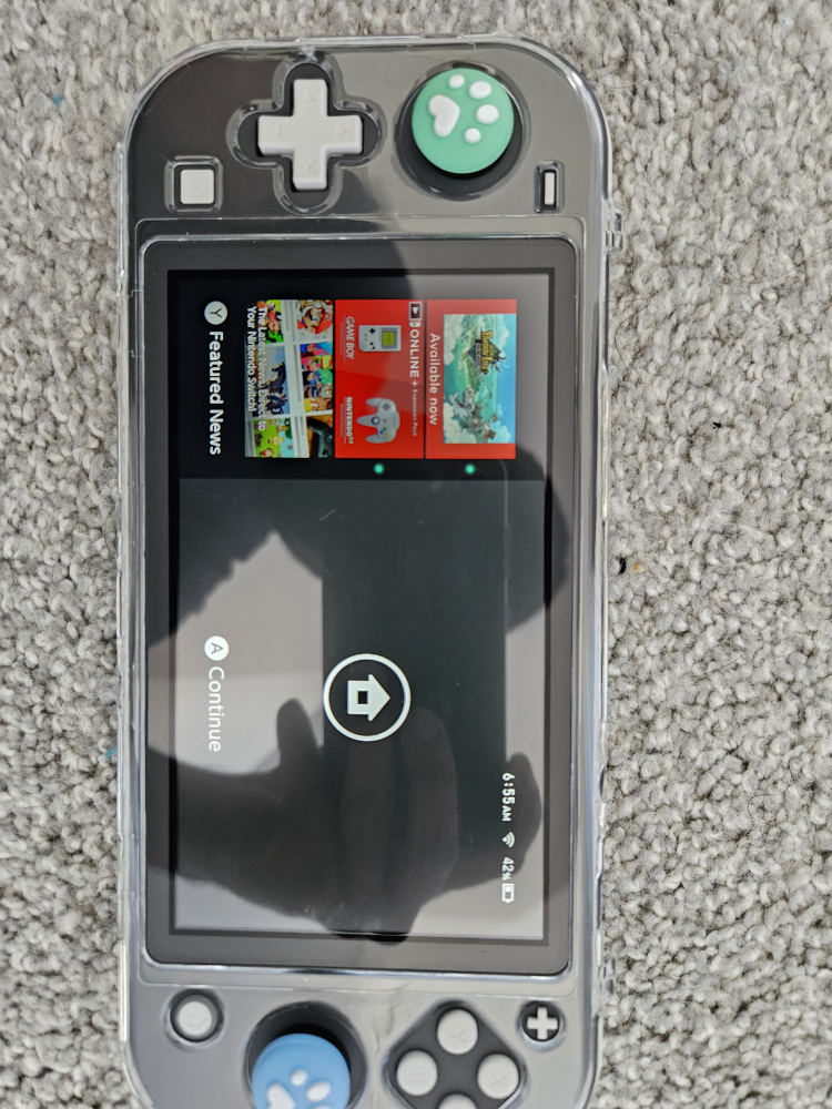 Nintendo Switch Lite