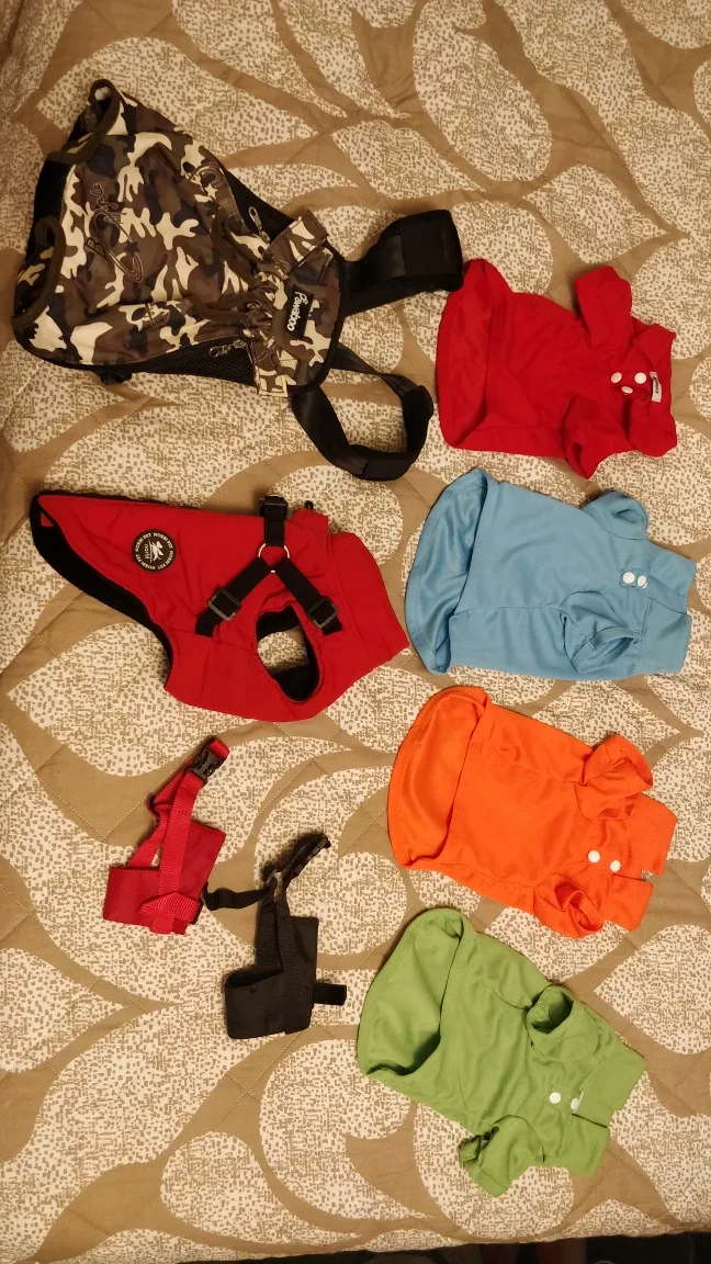 Dog Accessories:  Carrier, Jacket, T-shirts, Snout Restraints thumbnail
