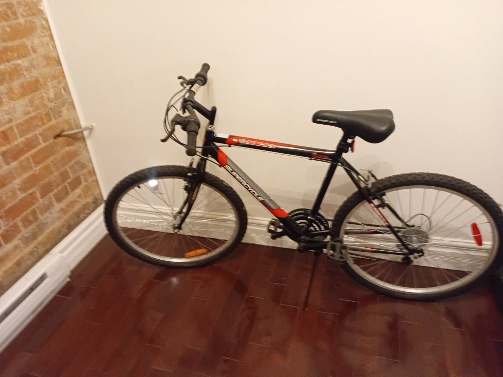 Supercycle Mountain Bike