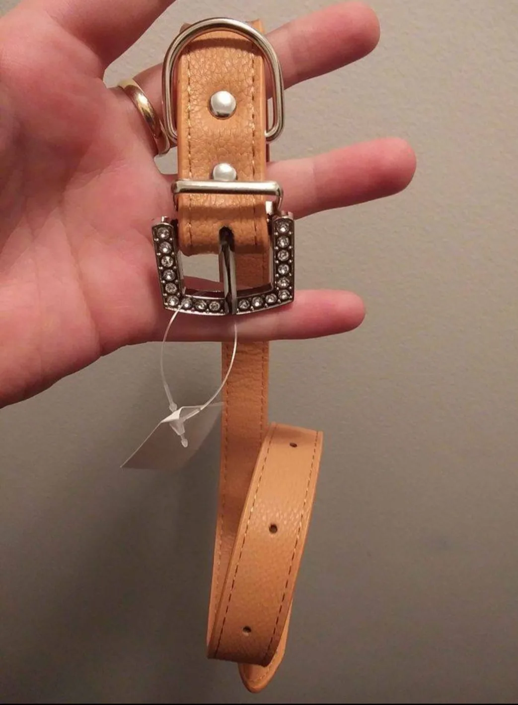 small pet collar image indicator(2)