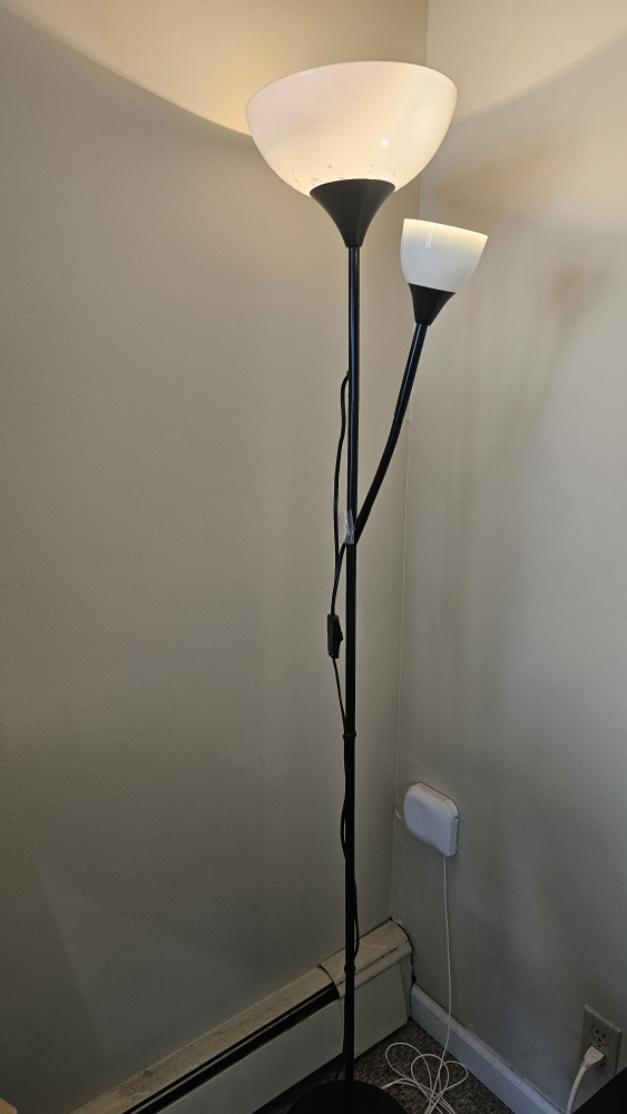 Floor Lamp with Reading Light - Black