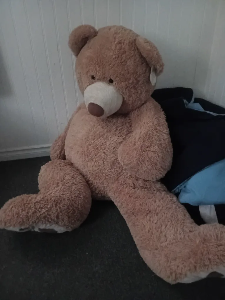 Giant Plush Teddy Bear thumbnail