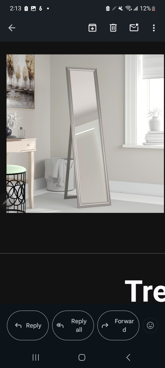 Full Length Standing Mirror - photo 3