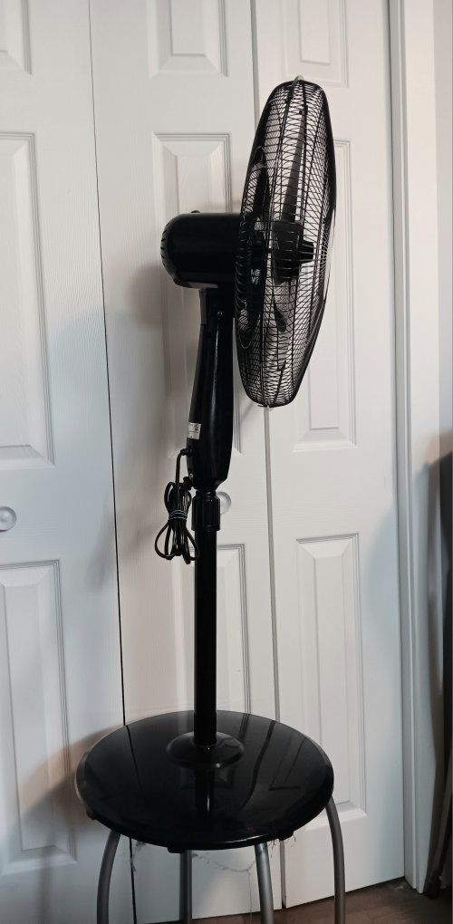 NOMA Black Stand Fan