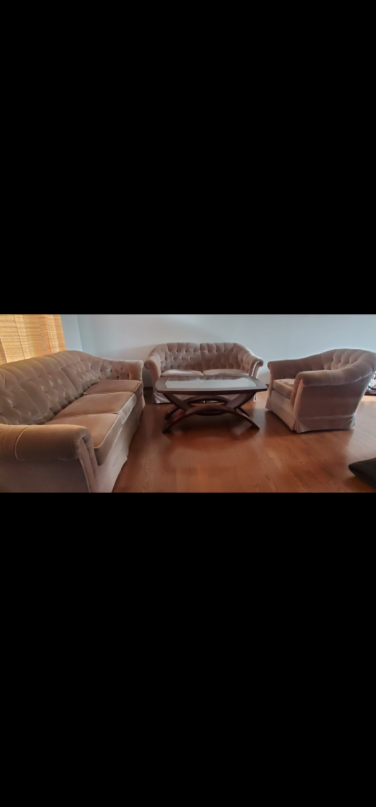 Vintage Living Room Set