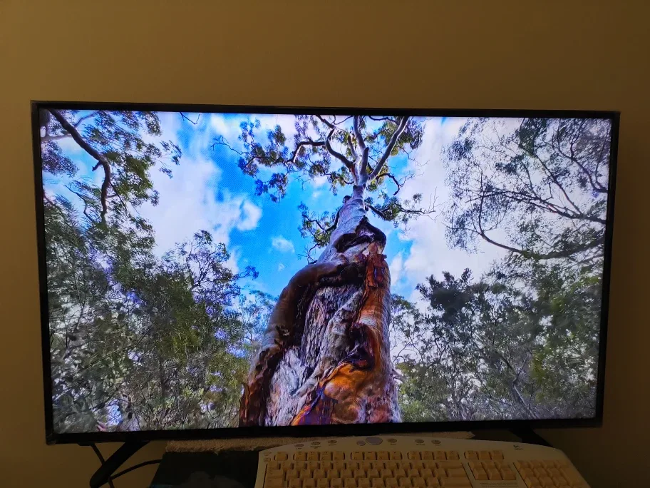 Sharp Roku TV 43" 4K UHD image indicator(3)