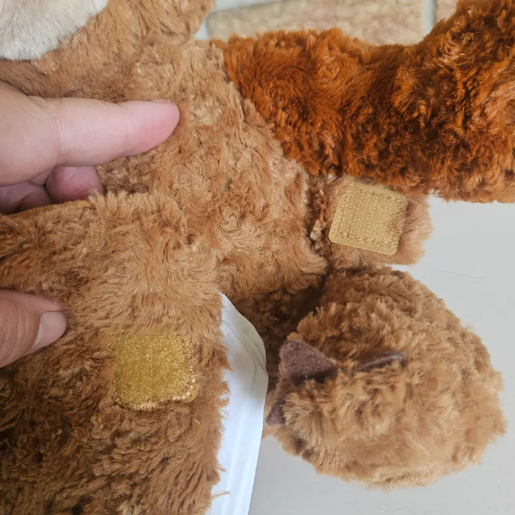 Zoobies Eric Carle Brown Bear Plush Storybook 11" image indicator(2)