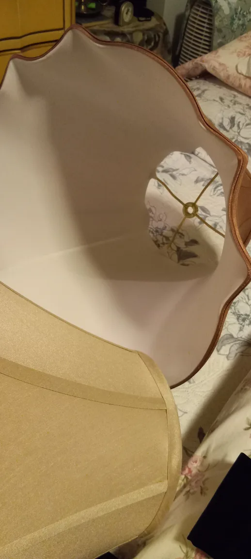 Two Lamp Shades image indicator(4)