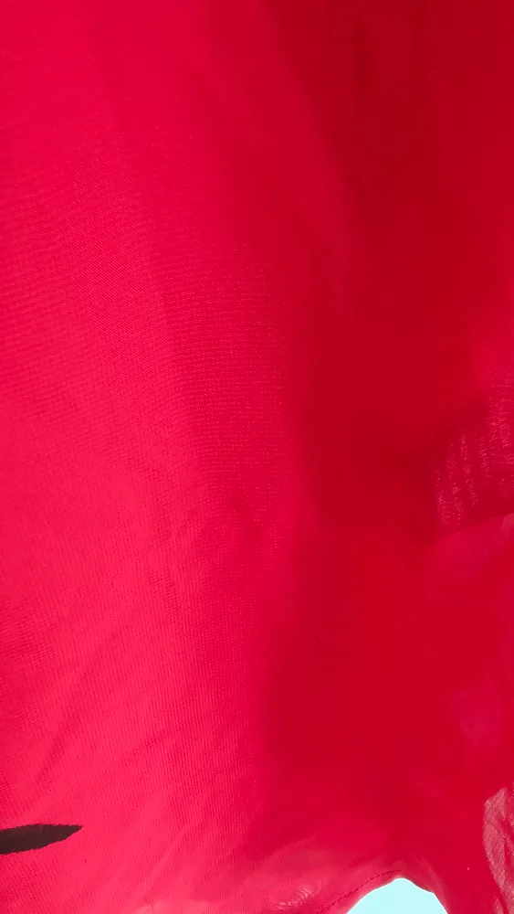 Le Chateau Red Floral Blouse image indicator(3)