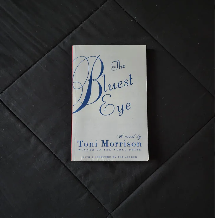 3 Book Lot: Toni Morrison, Monique W. Morris image indicator(6)