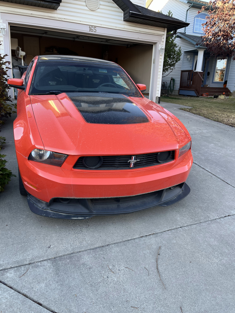 Ford Mustang Boss 302 - photo 4