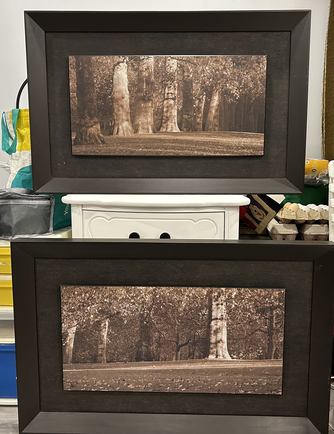 Framed Artwork - Serene Forest Scene