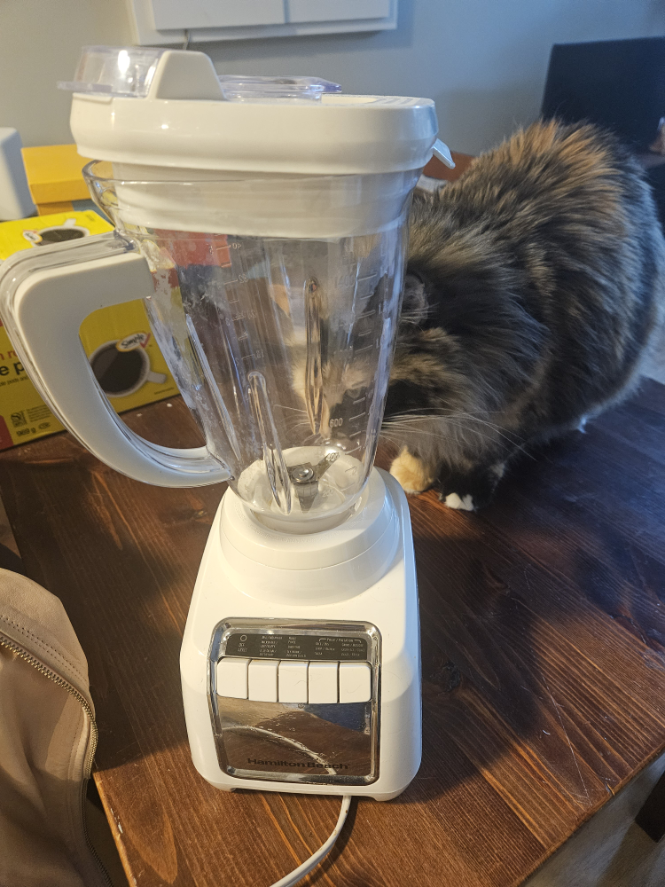 Hamilton Beach White Blender