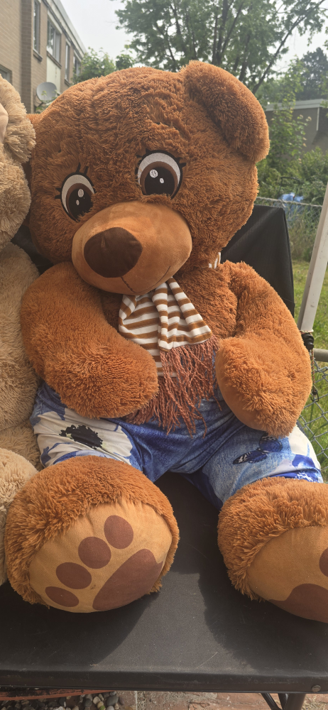 Large Brown Teddy Bear