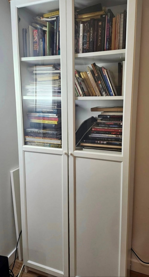 2 door IKEA Billy/Oxberg model used in good condition