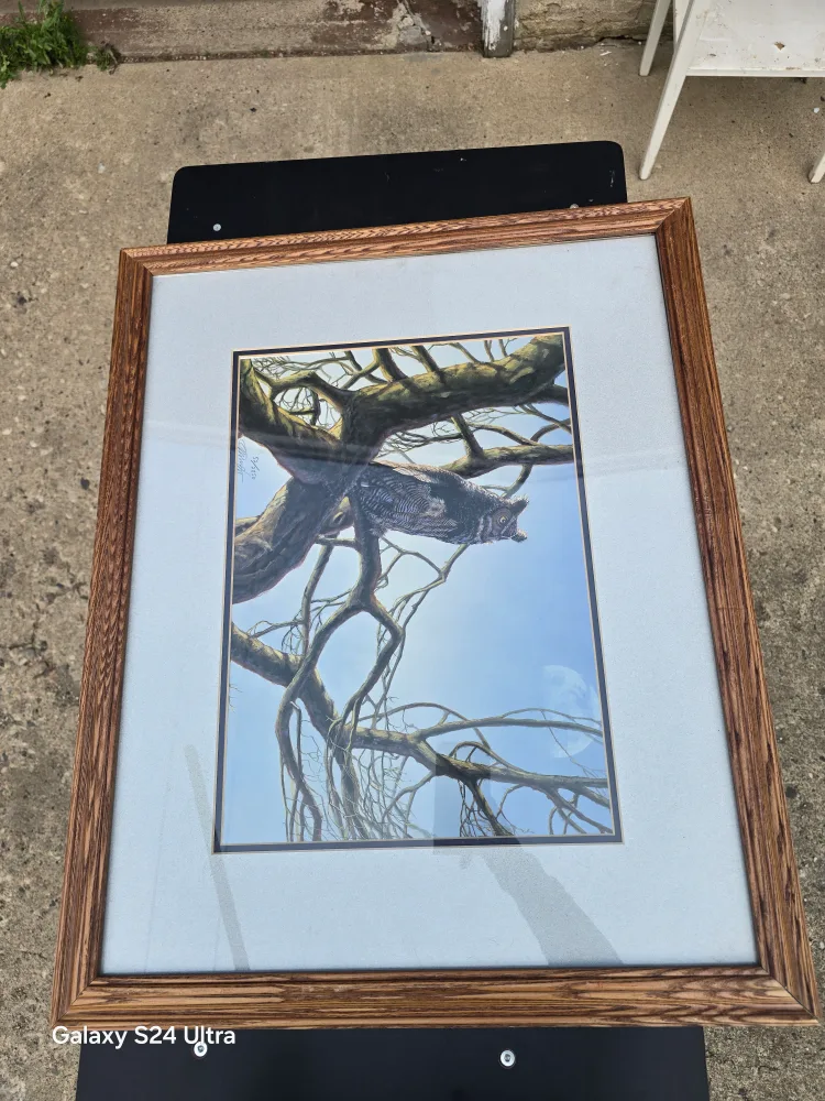 Framed Owl Print Art thumbnail