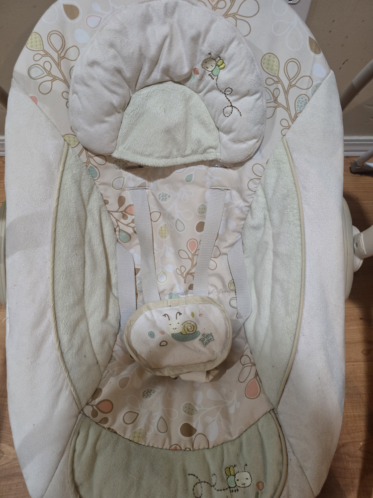 Bright Starts Baby Swing