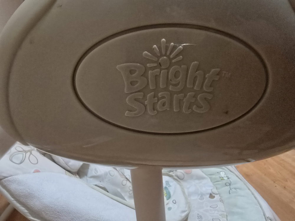 Bright Starts Baby Swing - photo 4