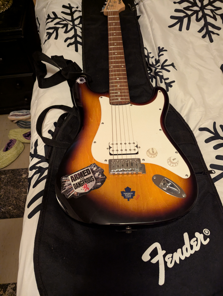 beginner electricmguitar