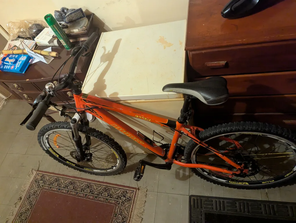 Infinity arrow Mountain Bike image indicator(2)