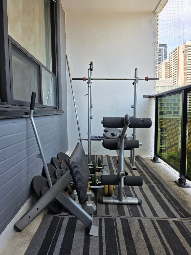 Home Gym Set image indicator(2)