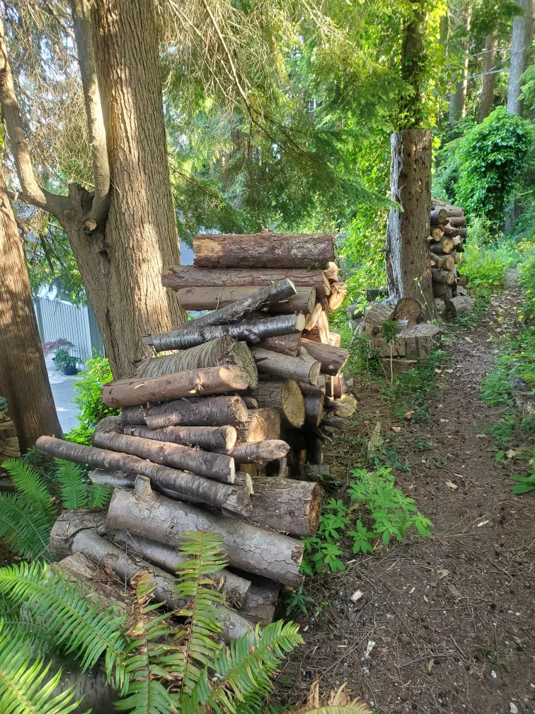 free firewood thumbnail