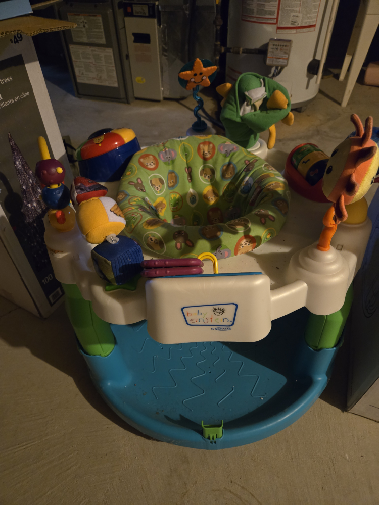 Baby Einstein Activity Jumper by Graco